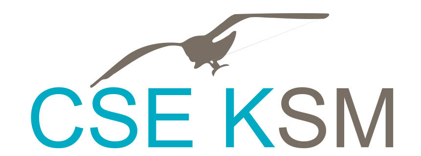 CSE Keolis Fécamp - Logo